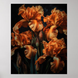 Sinaasappel Iris Flowers Art Print Poster