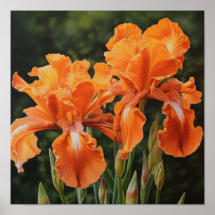 Sinaasappel Irissen Bloemenkunst Print Poster