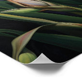 Sinaasappel Irissen Bloemenkunst Print Poster (Hoek)