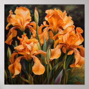 Sinaasappel Irissen Bloemenkunst Print Poster