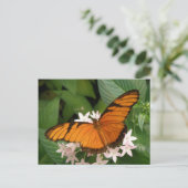 Sinaasappel Julia Butterfly Briefkaart (Staand voorkant)