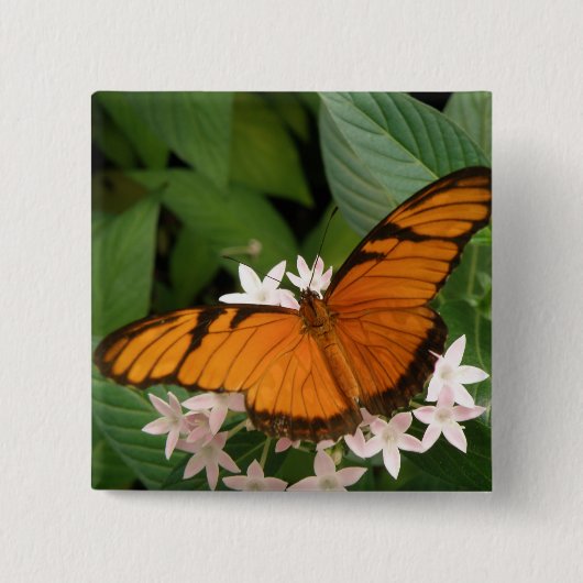 Sinaasappel Julia Butterfly Button (Voorkant)