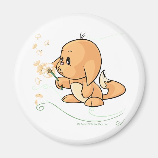 Sinaasappel Kacheek die een deegelion wenst Magneet (Voorkant)