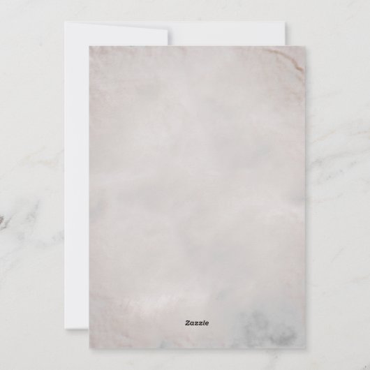 Sinaasappel Kat Paarse heks Pet 2 Foto's Halloween Feestdagenkaart (Achterkant)