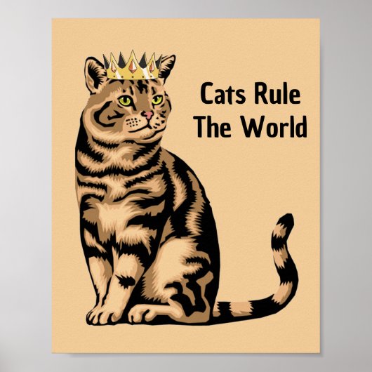 Sinaasappel Kat Quotes Poster (Voorkant)