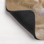 Sinaasappel Kittens Muismat (Hoek)