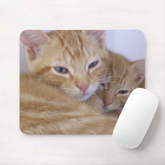 Sinaasappel Kittens Muismat (Met muis)