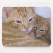 Sinaasappel Kittens Muismat (Voorkant)