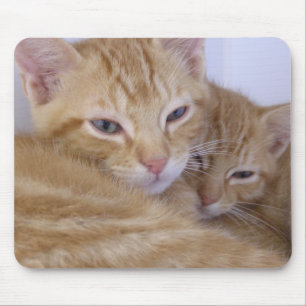 Sinaasappel Kittens Muismat