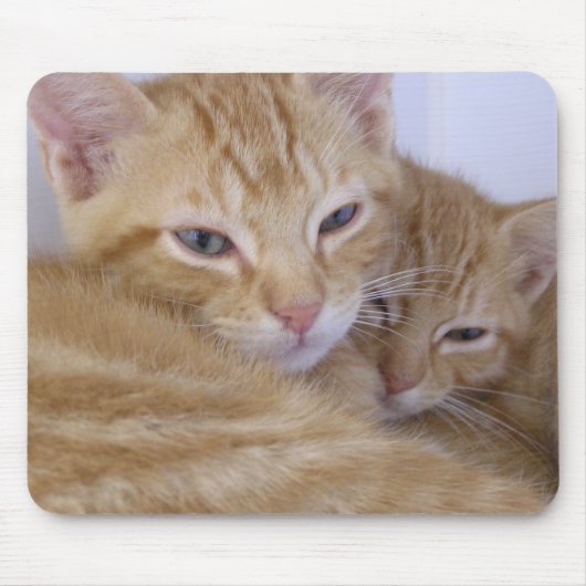 Sinaasappel Kittens Muismat (Voorkant)