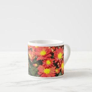 Sinaasappel kleur madeliefjes bloemen. Chrysanthem Espresso Kop
