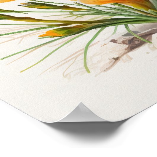 Sinaasappel Krokus Bloemen Art Print Poster (Hoek)