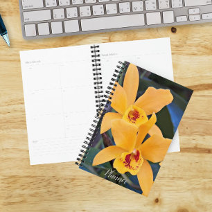 Sinaasappel Laeliocattleya Orchideeën Bloemen Planner