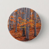 Sinaasappel Leaves Herfst Forest Foto Ronde Button 5,7 Cm (Voorkant)
