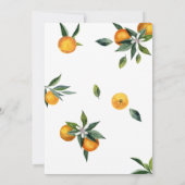 Sinaasappel leek een klein Baby shower Kaart (Achterkant)