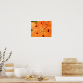 Sinaasappel Lelie Bloemendruk Poster (Keuken)