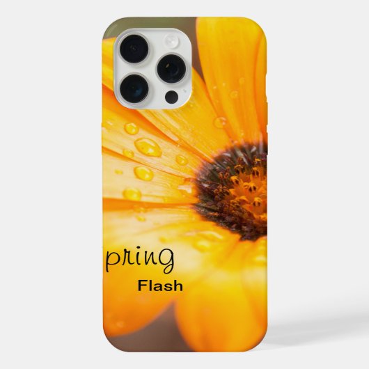 Sinaasappel Lente Flash Afrikaanse Madeliefje Bloe iPhone Hoesje (Achterkant)