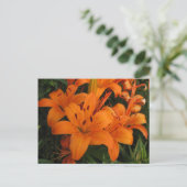 Sinaasappel Lily Briefkaart (Staand voorkant)