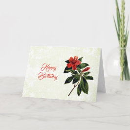  Sinaasappel Lily Floral Birthday Kaart