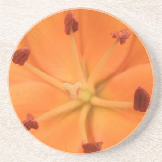 Sinaasappel Lily Floral Onderzetters (Voorkant)