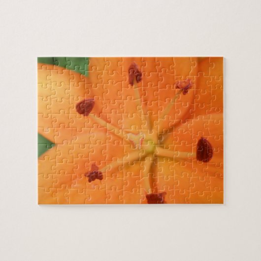 Sinaasappel Lily Floral Puzzle Legpuzzel (Horizontaal)