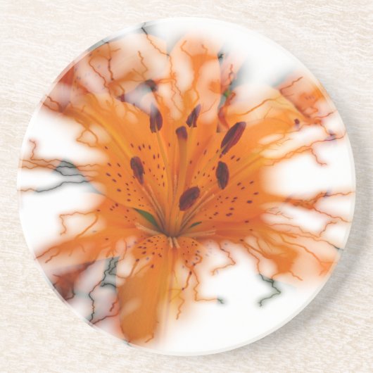 Sinaasappel Lily Onderzetter (Voorkant)