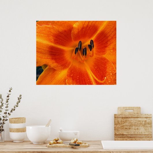 Sinaasappel Lily Poster (Keuken)