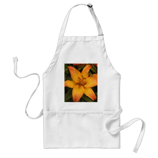 Sinaasappel Lily Schort (Voorkant)