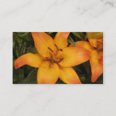 Sinaasappel Lily Visitekaartje (Achterkant)