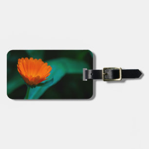 Sinaasappel Madeliefje Bloem Foto Bagagelabel