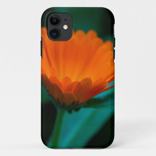 Sinaasappel Madeliefje Bloem Foto Case-Mate iPhone Case