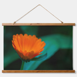 Sinaasappel Madeliefje Bloem Foto Hangend Wandkleed