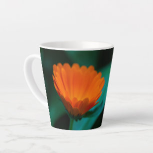 Sinaasappel Madeliefje Bloem Foto Latte Mok