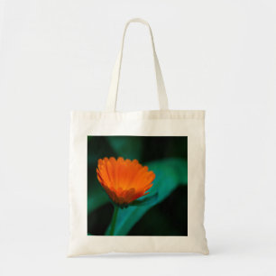 Sinaasappel Madeliefje Bloem Foto Tote Bag