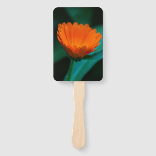 Sinaasappel madeliefje bloem handwaaier (Voorkant)
