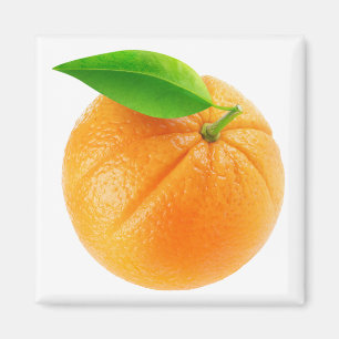 Sinaasappel Magneet