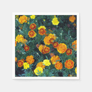  Sinaasappel Marigolds Floral Foto Servet
