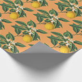  Sinaasappel met botanische longembolie Cadeaupapier (Hoek)