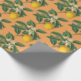 Sinaasappel met botanische longembolie Cadeaupapier