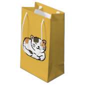 sinaasappel met een schattige fluffy calico en zwa klein cadeauzakje (Achterkant Gekanteld)