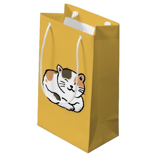 sinaasappel met een schattige fluffy calico en zwa klein cadeauzakje (Achterkant Gekanteld)