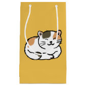 sinaasappel met een schattige fluffy calico en zwa klein cadeauzakje (Voorkant)