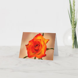 Sinaasappel met een zweem van Gele Rozen Wenskaart Bedankkaart
