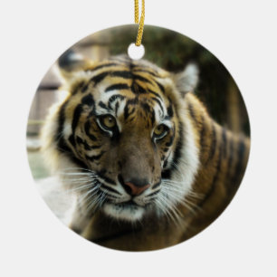 Sinaasappel met zwarte strepen Bengale tijgerfoto Keramisch Ornament