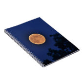Sinaasappel Moon Notitieboek (Rechterzijde)