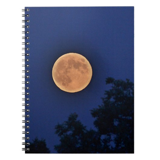 Sinaasappel Moon Notitieboek (Voorkant)