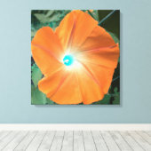 Sinaasappel morning Glory verpakt doek Canvas Afdruk (Insitu (Houten vloer))