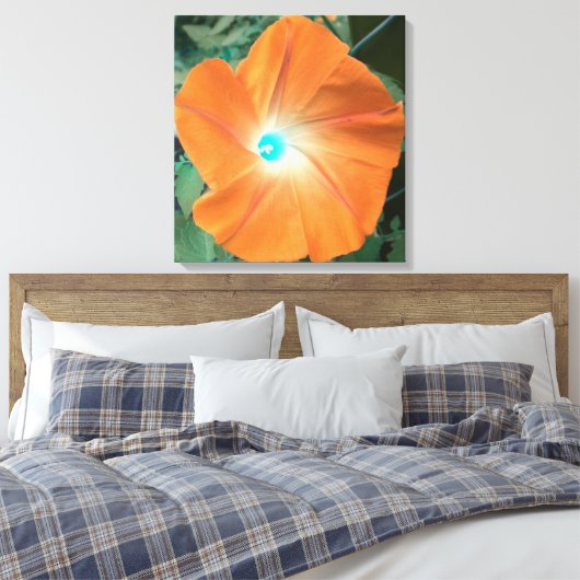 Sinaasappel morning Glory verpakt doek Canvas Afdruk (Insitu (Slaapkamer))