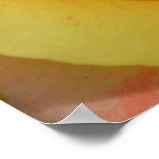 Sinaasappel "n" Roos sluit af Poster (Hoek)