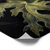 Sinaasappel Oosters Poppy Flowers Art Print Poster (Hoek)